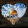 Фото профиля 🇵🇸Taghreed