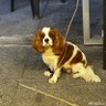 Vivi 的头像