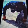 Robert Garriott profil fotoğrafı