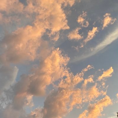 behigx's profile picture