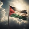 Фото профиля InshaAllah, Hamas will Win☝🏻🕋 🇵🇸🔻