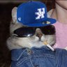 JaeCeez's profile picture