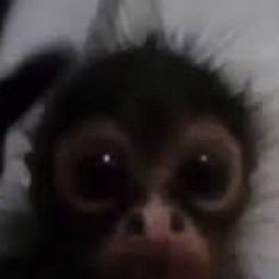 swan808_'s profile picture