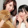 ぽかっちゃヒロナベ(ナベちゃん)【みくりん命名😄🐻】 profil fotoğrafı