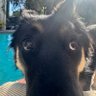 Wally profil fotoğrafı