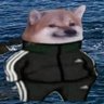 Profilbild von Gopn1k