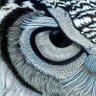 Profilbild von TheBlackSheep