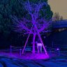 Фото профиля aoyu127