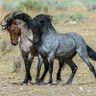 Фото профиля عبد العزيز بن الشيخ بن المبروك بن محمد بن الشيخ