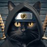Profilbild von shinob