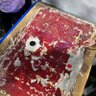 rat profil fotoğrafı