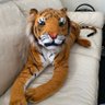 Фото профиля 🐅 ♊️