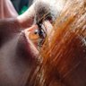 Profilbild von Laura