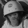 Фото профиля Space Monkey