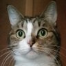 Profilbild von momo