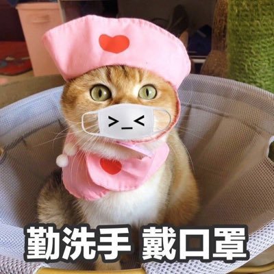 小琳's profile picture