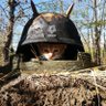 possum eggs's profile picture
