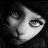 Фото профиля Black cat