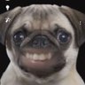ssp's profile picture