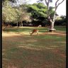 Фото профиля نيامبو 🇰🇪