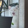 WO - Wokeombudsmannen's profile picture