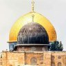 mohamed akl's profile picture