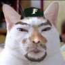 ARA(あらちゃん) profil fotoğrafı