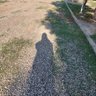 🌸zary Gorgin🌸 profil fotoğrafı