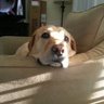 Scott Simanski's profile picture