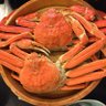やっすーー 的头像