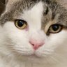 Profilbild von Mister_Information
