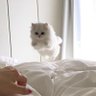 なぁら💩 的头像