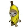Profilbild von baami