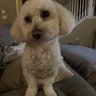 Gigi profil fotoğrafı