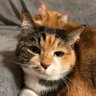 Profilbild von OCHACHASAMA