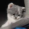 Profilbild von Emilia🖤