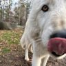 Niki profil fotoğrafı