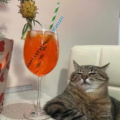 不好吃's profile picture