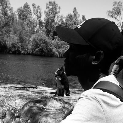 PhenyoModise's profile picture