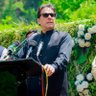 Profilbild von Umar Shahzad