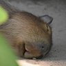 เขาเองน้าาาา profil fotoğrafı