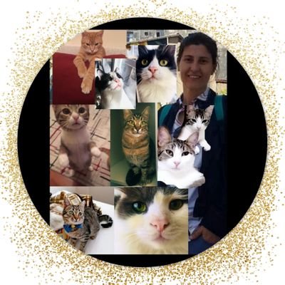 zelisinpatileri's profile picture