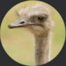 Profilbild von The Ostrich