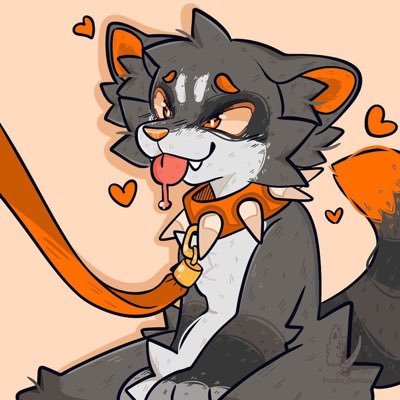 naughty racc's profile picture