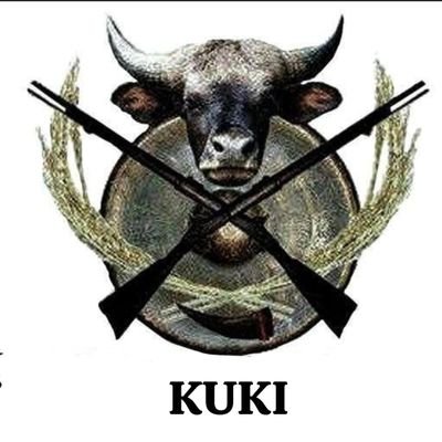 Khup Lhungdim's profile picture