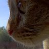 💨💨msmazzymay💨💨 profil fotoğrafı