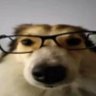 Profilbild von Spooh