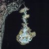 Фото профиля sai