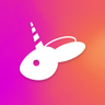 Profilbild von Bunni Intern