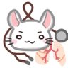 チラ🩺🥁's profile picture